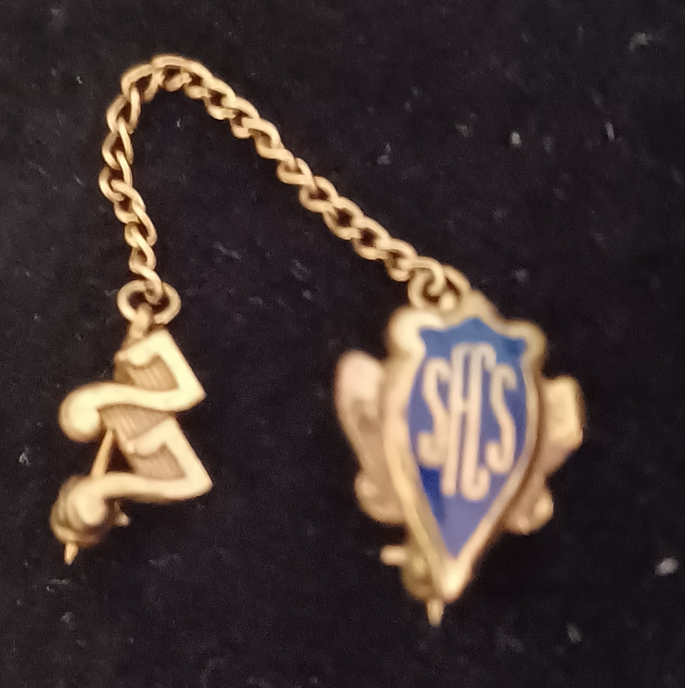 Pin collection - Picture 4 of 9